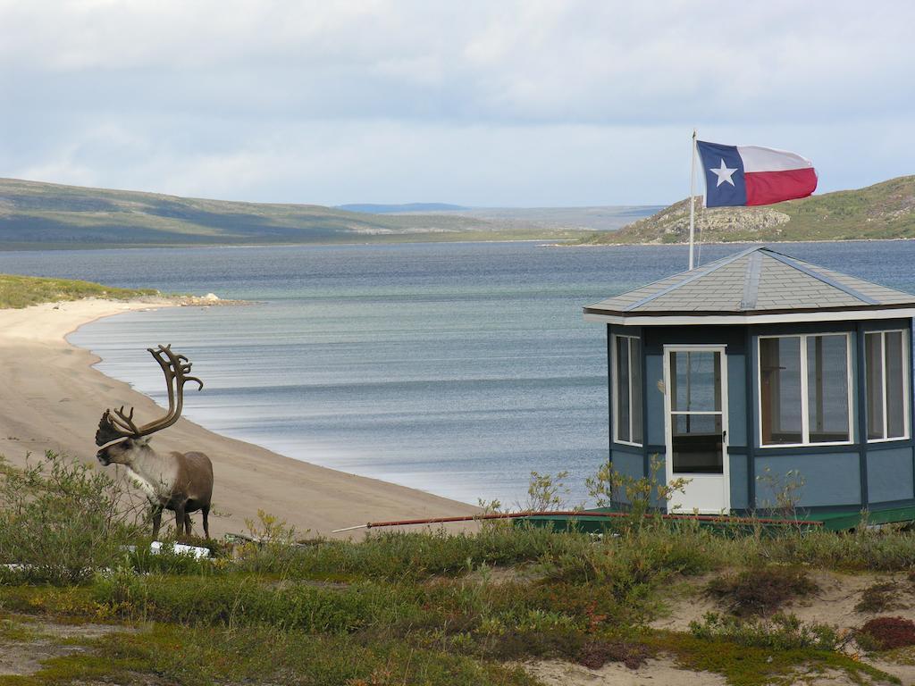 ييلونايف Peterson'S Point Lake Lodge المظهر الخارجي الصورة