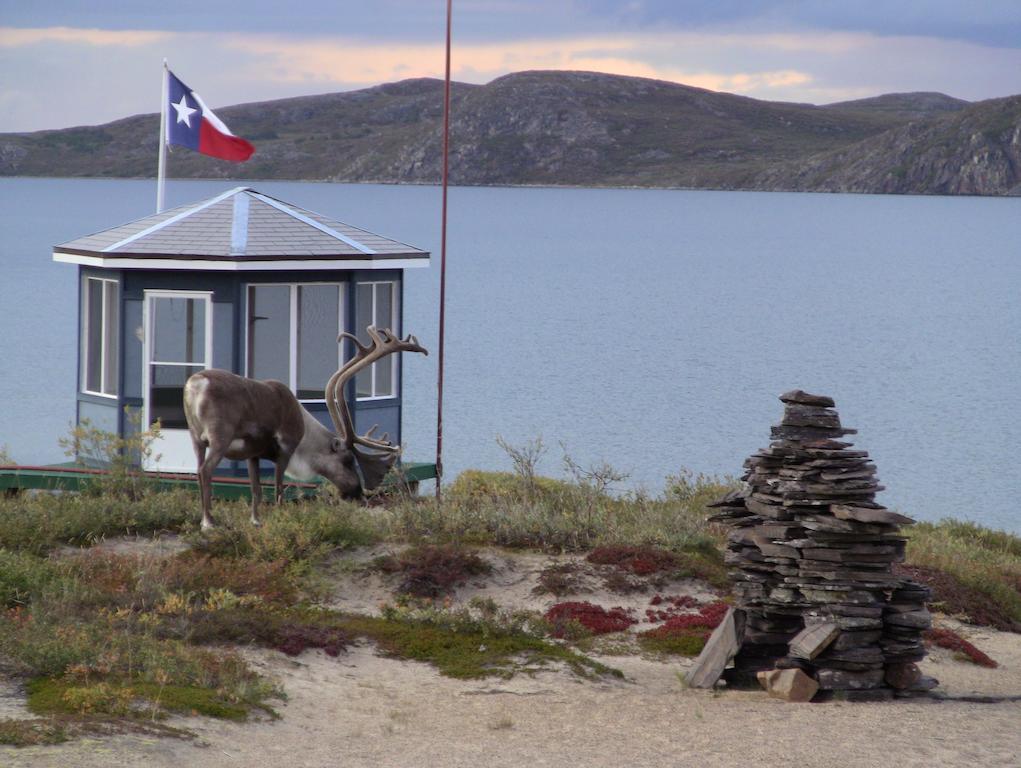 ييلونايف Peterson'S Point Lake Lodge المظهر الخارجي الصورة