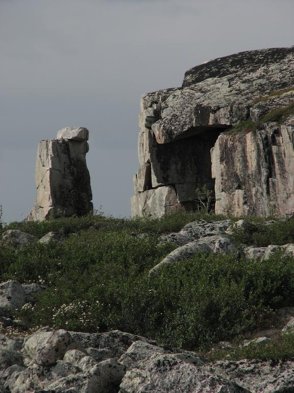 ييلونايف Peterson'S Point Lake Lodge المظهر الخارجي الصورة